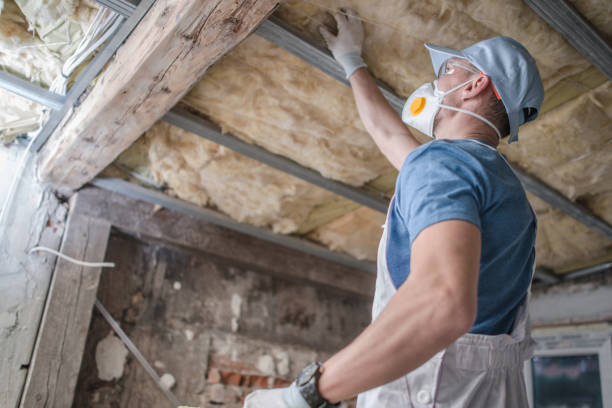 Best Fiberglass Insulation  in Oak Grove, MO