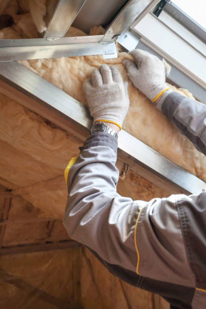 Best Local Insulation Services  in Oak Grove, MO